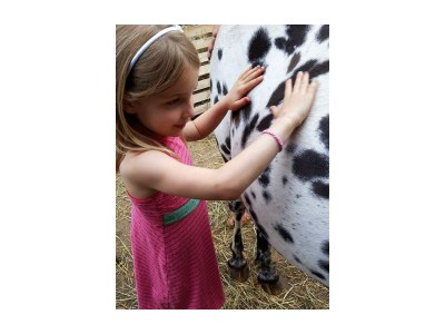 Apartment 4-Bettwohnung - Nichtraucher - Outdoor photo 7