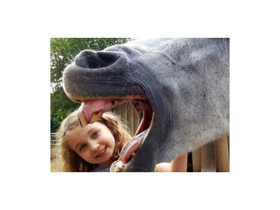 Apartment 4-Bettwohnung - Nichtraucher - Outdoor photo 8