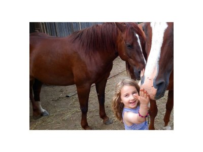 Apartment 4-Bettwohnung - Nichtraucher - Outdoor photo 9