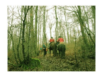 Apartment 4-Bettwohnung - Nichtraucher - Outdoor photo 10