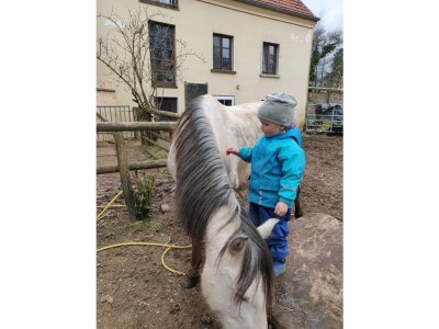 Apartment 4-Bettwohnung - Nichtraucher - Outdoor photo 12