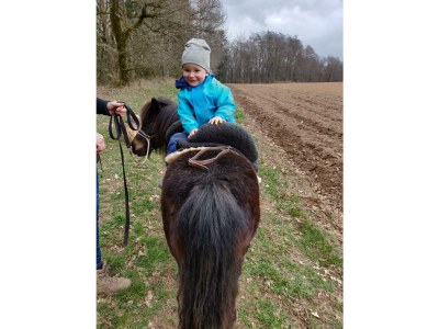 Apartment 4-Bettwohnung - Nichtraucher - Outdoor photo 16