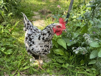 Apartment 4-Bettwohnung - Nichtraucher - Outdoor photo 19