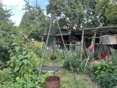 Apartment 4-Bettwohnung - Nichtraucher - Outdoor photo 21