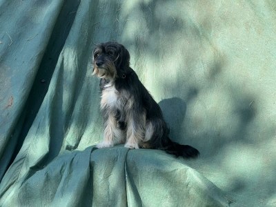 Apartment 4-Bettwohnung - Nichtraucher - Outdoor photo 25