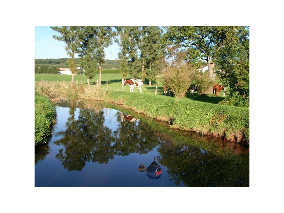 Apartment 4-Bettwohnung (Im Dorfblick) - Outdoor photo 3