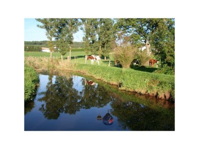 Apartment 2-Bettwohnung (Im Prümtal) - Outdoor photo 3