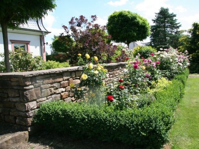 Apartment 2-Bettwohnung (Im Prümtal) - Outdoor photo 6