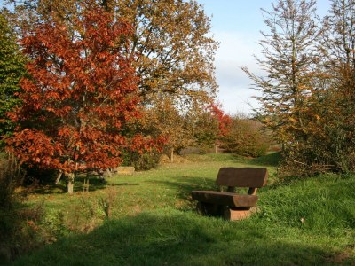 Apartment 2-Bettwohnung (Im Prümtal) - Outdoor photo 7