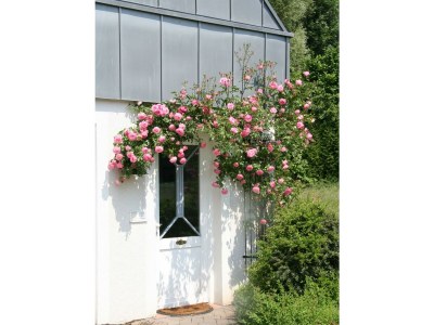 Apartment 2-Bettwohnung (Im Prümtal) - Features photo 19