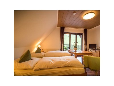 Apartment 2-Bettwohnung - KRÄUTERHAUS - Features photo 7