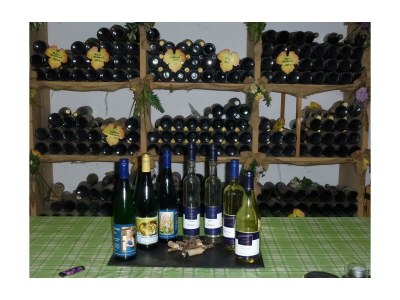 Apartment Riesling Gartenblick - Outdoor photo 6