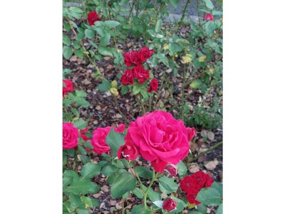 Apartment Appartement/Fewo - Outdoor photo 6