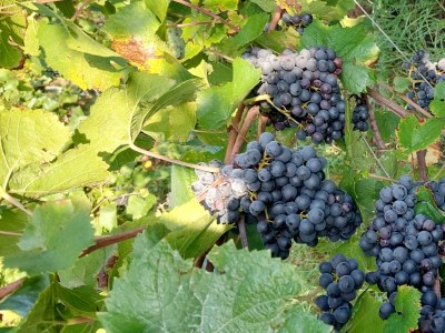 Apartment Appartement/Fewo - Outdoor photo 9