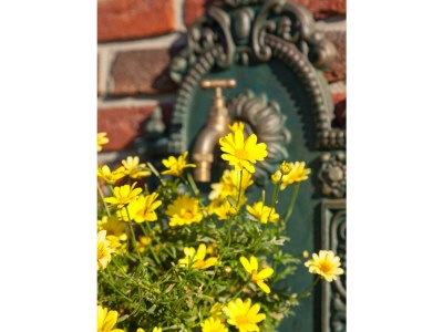 Apartment 2-Bettwohnung "Zum Paradies" - Outdoor photo 8