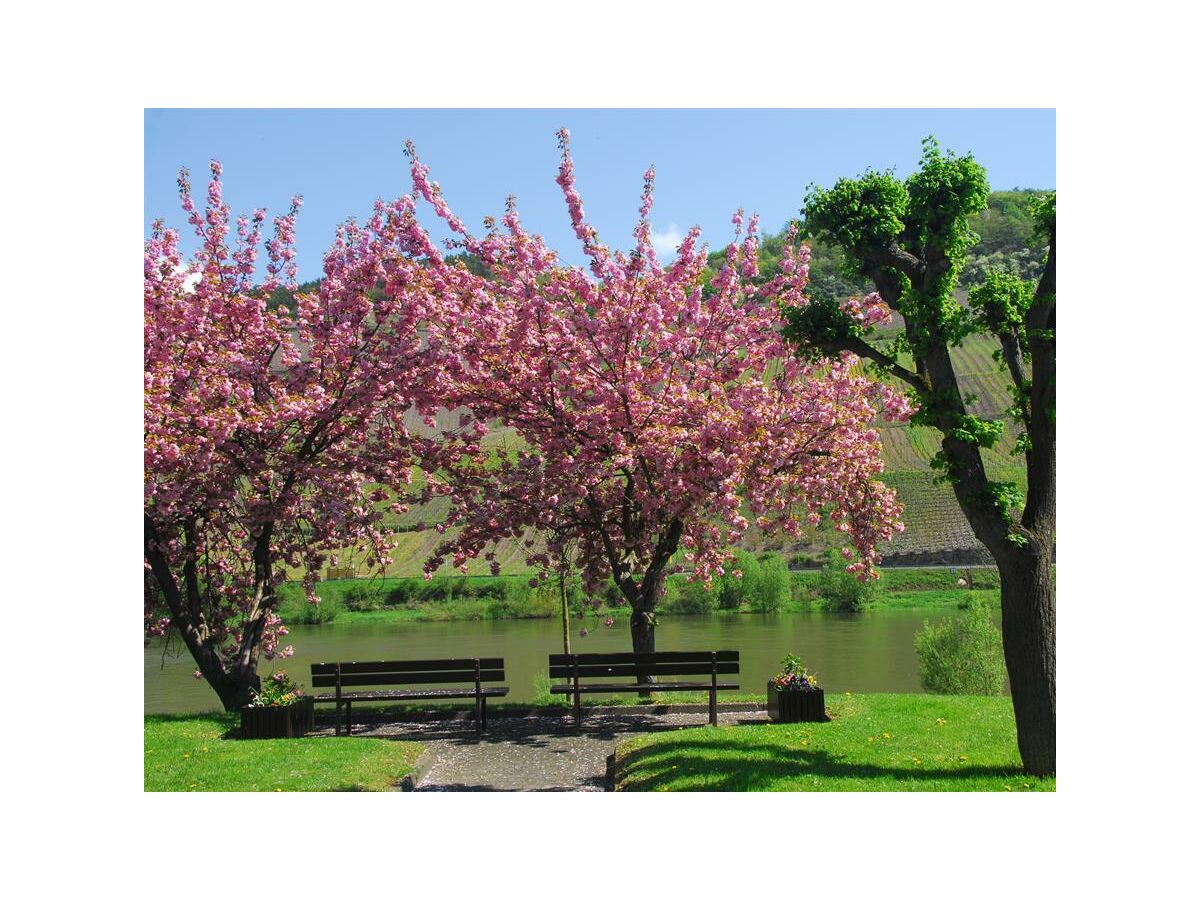 Apartment Appartement/Fewo, Dusche und Badewanne, 2 Schlafrä - Outdoor photo 2