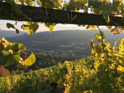 Apartment 4-Bettwohnung - Outdoor photo 20