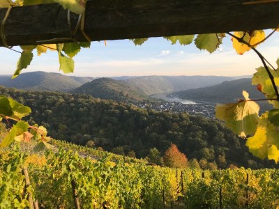 Apartment 4-Bettwohnung - Outdoor photo 21