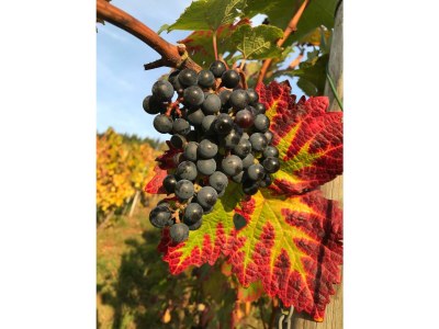 Apartment 4-Bettwohnung - Outdoor photo 22