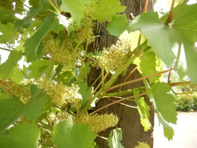 Apartment Appartement/Fewo, Dusche oder Bad, WC, 2 Schlafräu - Outdoor photo 2