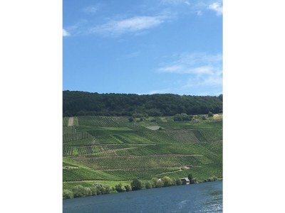 Apartment Appartement/Fewo, Dusche oder Bad, WC, 2 Schlafräu - Features photo 32