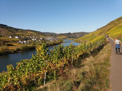 Apartment Appartement  Goldlay - Outdoor photo 5