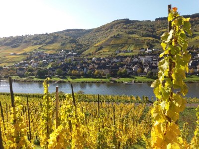 Apartment Appartement  Goldlay - Outdoor photo 7