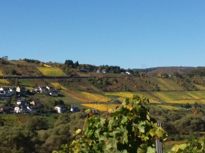 Apartment Appartement  Goldlay - Outdoor photo 10