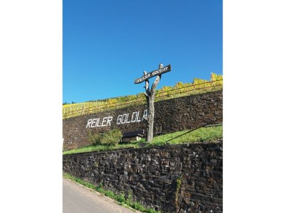 Apartment Appartement  Goldlay - Outdoor photo 11