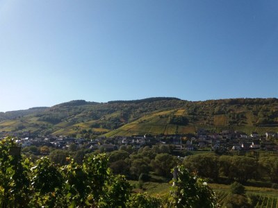 Apartment Appartement  Goldlay - Outdoor photo 13