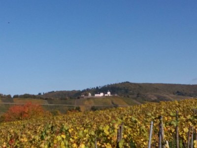 Apartment Appartement  Goldlay - Outdoor photo 15