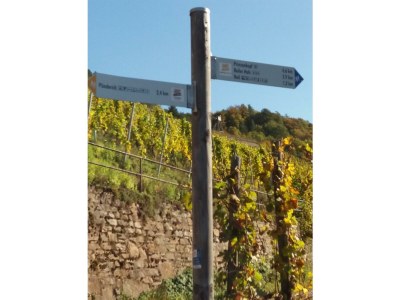 Apartment Appartement  Goldlay - Outdoor photo 16