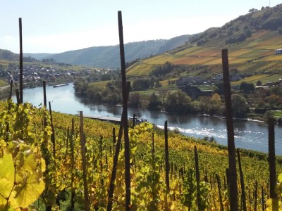 Apartment Appartement  Goldlay - Outdoor photo 19