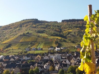 Apartment Appartement  Goldlay - Outdoor photo 20