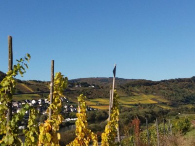 Apartment Appartement  Goldlay - Outdoor photo 21