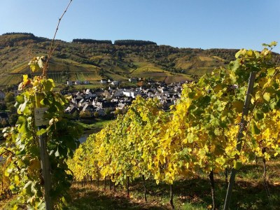 Apartment Appartement  Goldlay - Outdoor photo 22