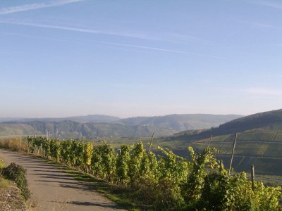 Apartment Appartement  Goldlay - Outdoor photo 24