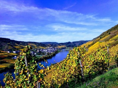 Apartment Appartement  Goldlay - Outdoor photo 25