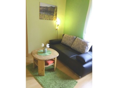 Apartment Appartement  Goldlay - Features photo 35