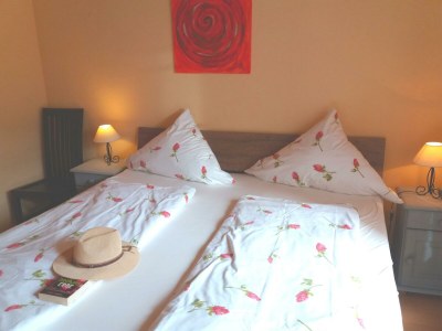 Apartment Appartement  Goldlay - Features photo 40