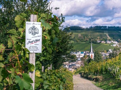 Apartment 4-Bettwohnung - Fanny I - Outdoor photo 24
