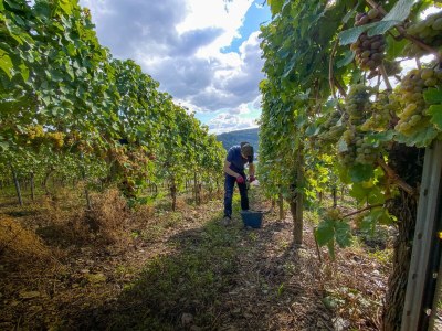 Apartment 2-4-Bettwohnung - Outdoor photo 6