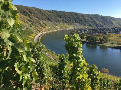 Apartment Appartement/Fewo Nr. 2 - Outdoor photo 10