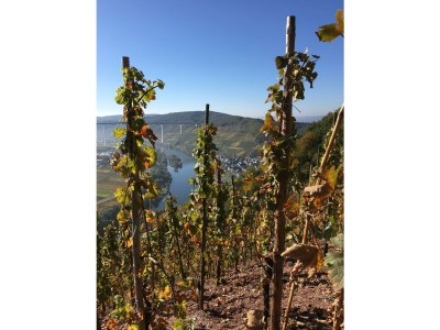 Apartment Appartement/Fewo Nr. 2 - Outdoor photo 12