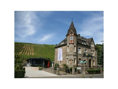 Apartment 2-Bettwohnung - Nr. 3 in Enkirch - Apartment