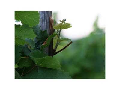 Apartment 2-Bettwohnung - Nr. 3 - Outdoor photo 9