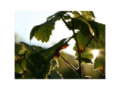 Apartment 2-Bettwohnung - Nr. 3 - Outdoor photo 11