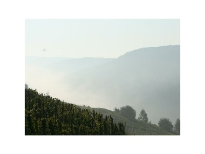 Apartment 2-Bettwohnung - Nr. 3 - Outdoor photo 12