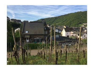 Apartment 2-Bettwohnung - Nr. 3 - Outdoor photo 13