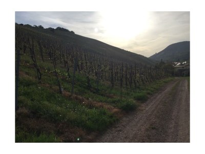 Apartment 2-Bettwohnung - Nr. 3 - Outdoor photo 14